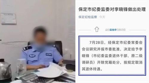 保定最新爆料事件处理结果,官方公布处理结果，真相大白  第2张
